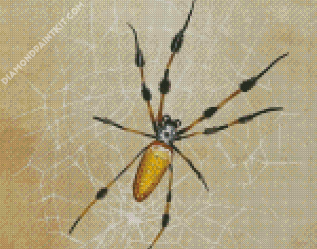 Spider Art diamond painting