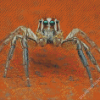 Spider diamond painting