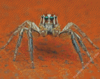 Spider diamond painting