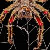 Spider In Web diamond painting