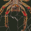 Spider In Web diamond painting