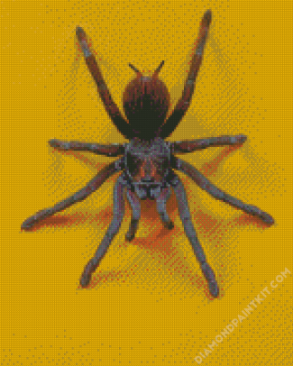 Spooky Spider diamond painting