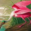 Spoonbill Art diamond painting