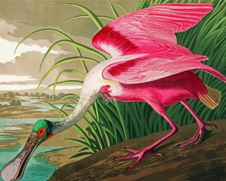 Spoonbill Art diamond painting