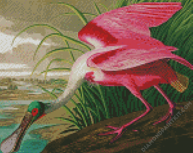 Spoonbill Art diamond painting