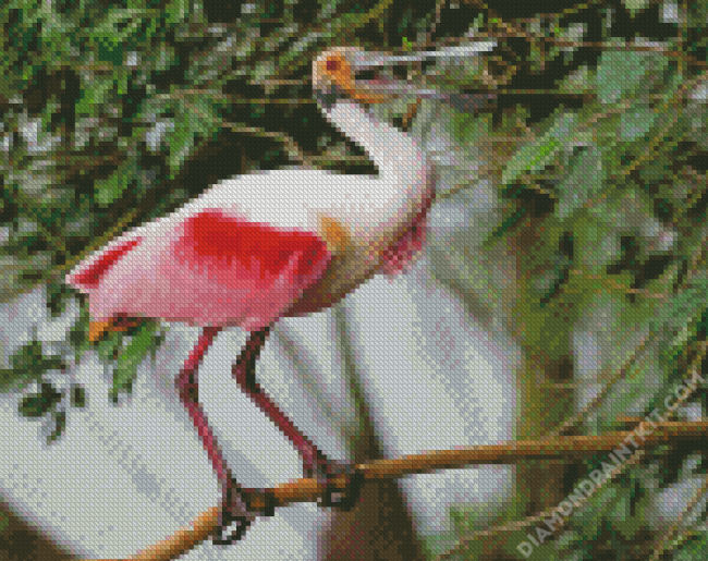 Spoonbill Bird diamond painting