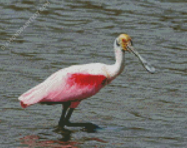 Spoonbills diamond painting