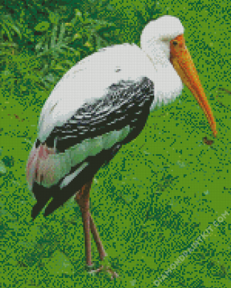 Stork Bird diamond painting