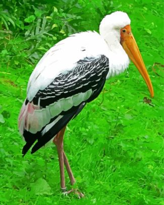 Stork Bird diamond painting