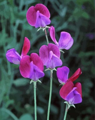 Sweetpea Flowers diamond painting