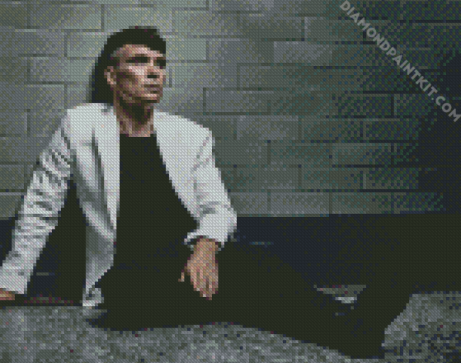 The Actor Cillian Murphy diamond painting