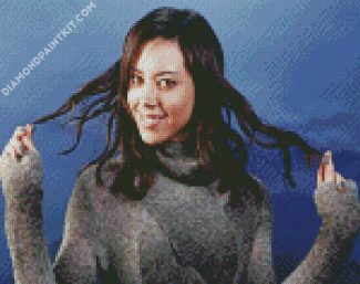 The Actress Aubrey Plaza diamond painting