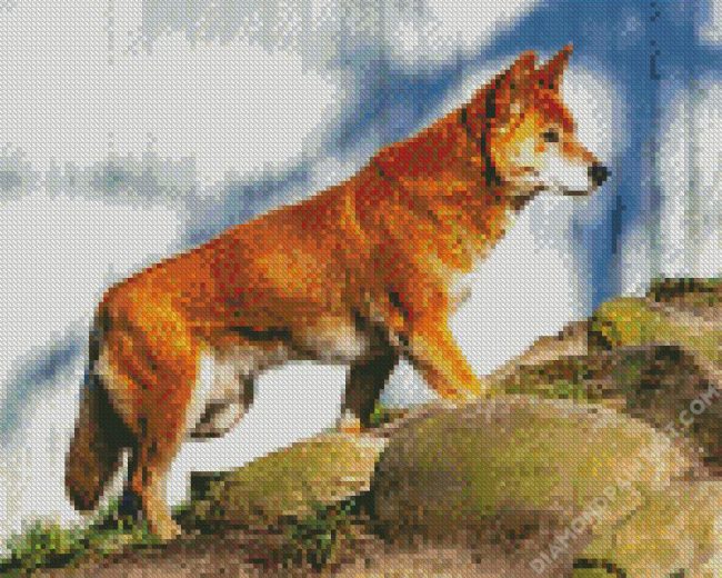 The Dingo Dog diamond painting