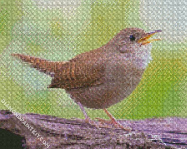 The House Wren Bird diamond painting