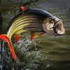 The Tigerfish diamond painting