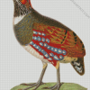 The Partridge Bird diamond painting