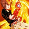 Tsunayoshi Sawada Reborn Anime diamond painting