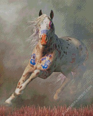 Warrior Appaloosa Horse diamond painting