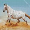 White Appaloosa diamond painting