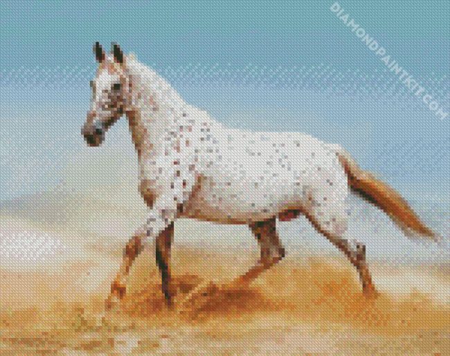 White Appaloosa diamond painting