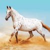 White Appaloosa diamond painting