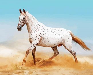 White Appaloosa diamond painting