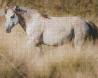 White Brumby diamond painting