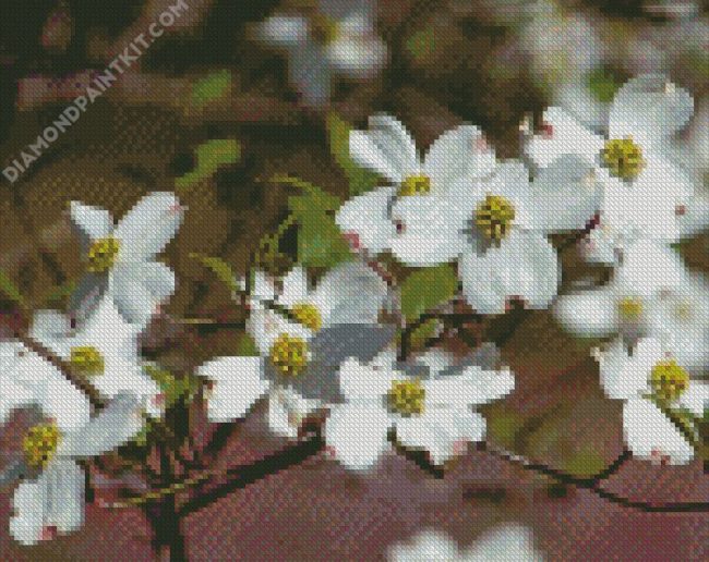 White Dogwood diamond painting