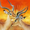 Wild Impalas diamond painting