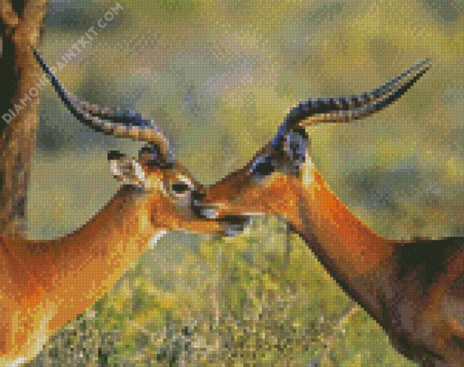 Wild Impalas Antelope diamond painting