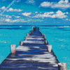 Wooden Boardwalk diamond painting