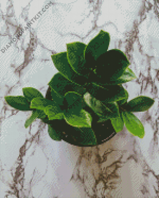 Zamioculcas Leaves diamond painting