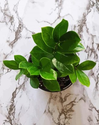 Zamioculcas Leaves diamond painting