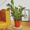 Zamioculcas Plant Pot diamond painting