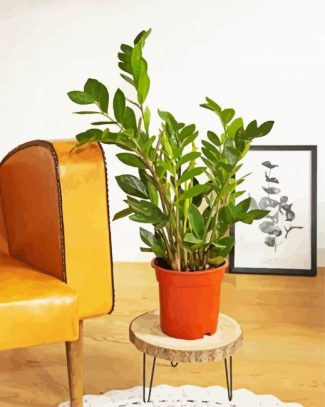 Zamioculcas Plant Pot diamond painting