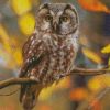 Zimbabwean Owl diamond painting