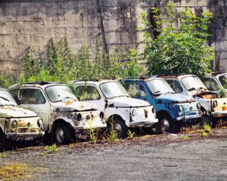 Abandoned Vintage Fiat Cars diamond painting