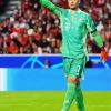 Aesthetic Manuel Neuer diamond painting