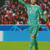 Aesthetic Manuel Neuer diamond painting