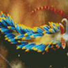 Aesthetic Nudibranch diamond painting