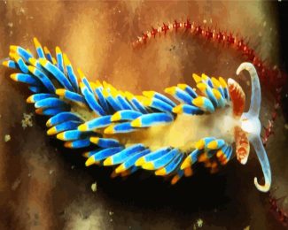 Aesthetic Nudibranch diamond painting