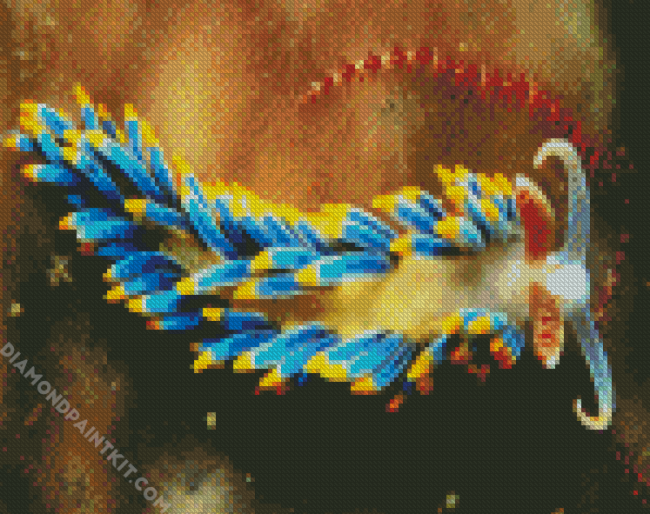 Aesthetic Nudibranch diamond painting