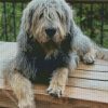 Aesthetic Otterhound diamond painting