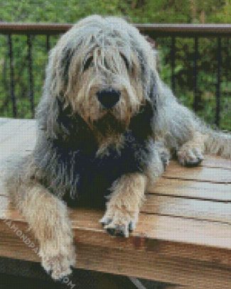 Aesthetic Otterhound diamond painting