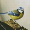 Aesthetic Parus diamond painting