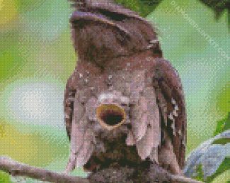 Aesthetic Potoo diamond painting