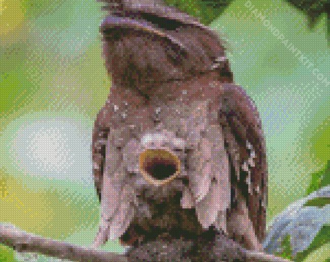 Aesthetic Potoo diamond painting