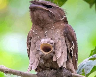 Aesthetic Potoo diamond painting