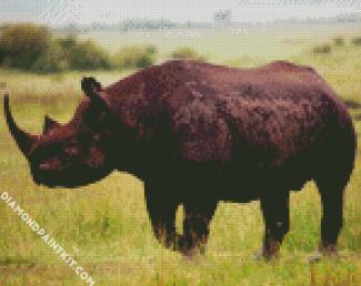 Aesthetic Rhinoceros diamond painting