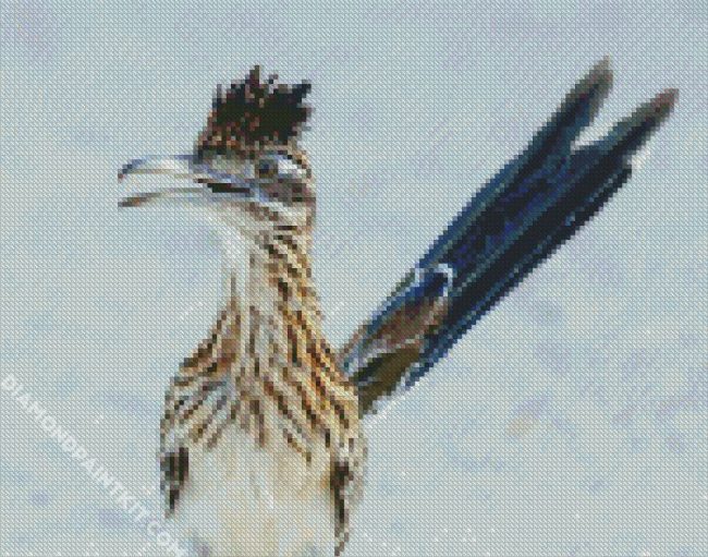 Aesthetic Roadrunner diamond painting